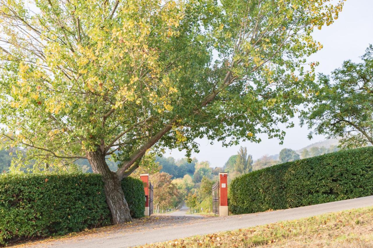 Ca Palazzo Malvasia - Bolognarooms Sasso Marconi