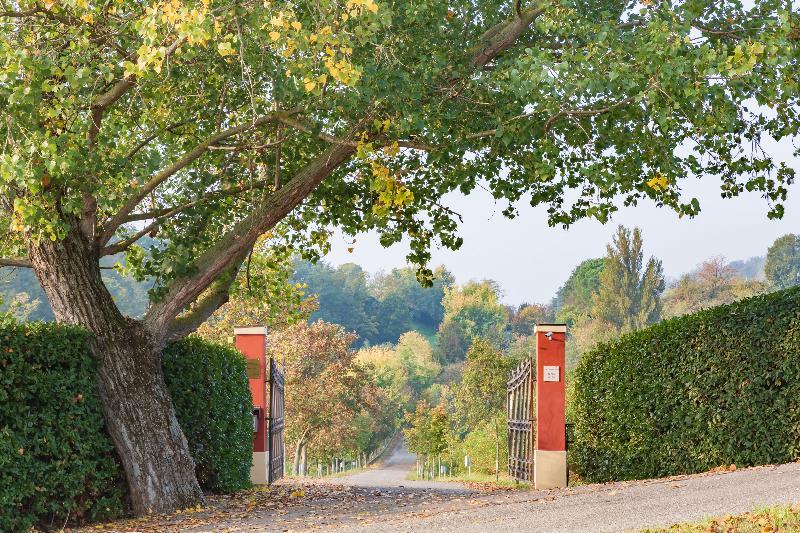 Ca Palazzo Malvasia - Bolognarooms Frühstückspension 3*